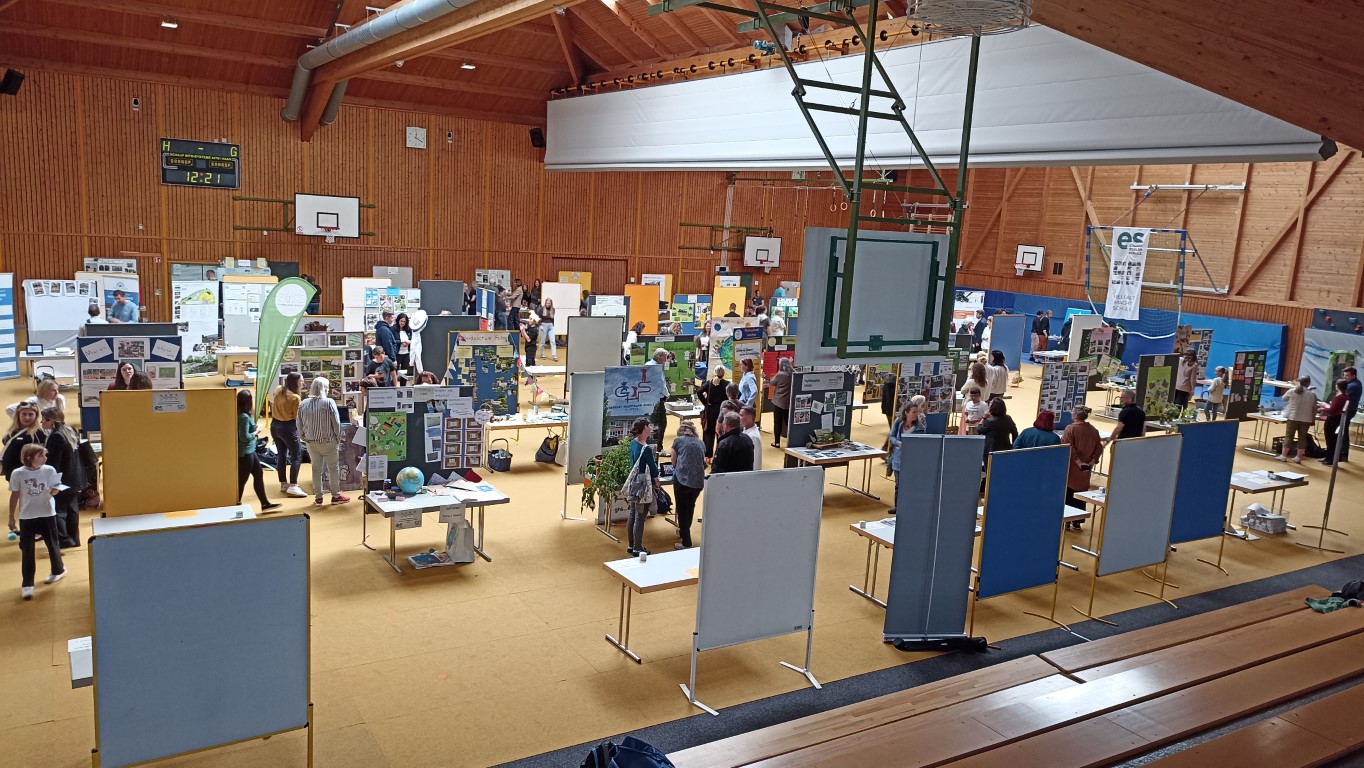 Gallery Item 1 copy copy copy copy copy copy copy