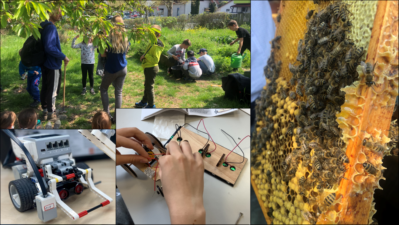 Schulstruktur (Grafik)