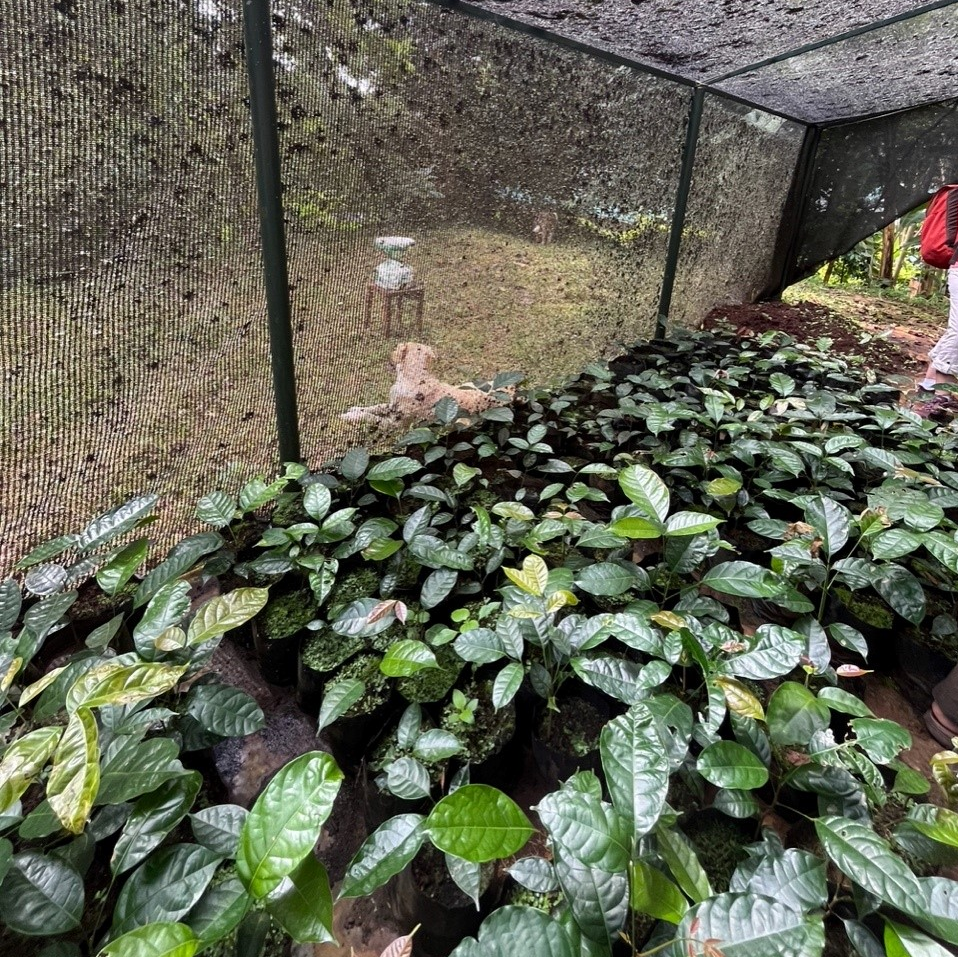 Gallery Item 1 copy copy copy