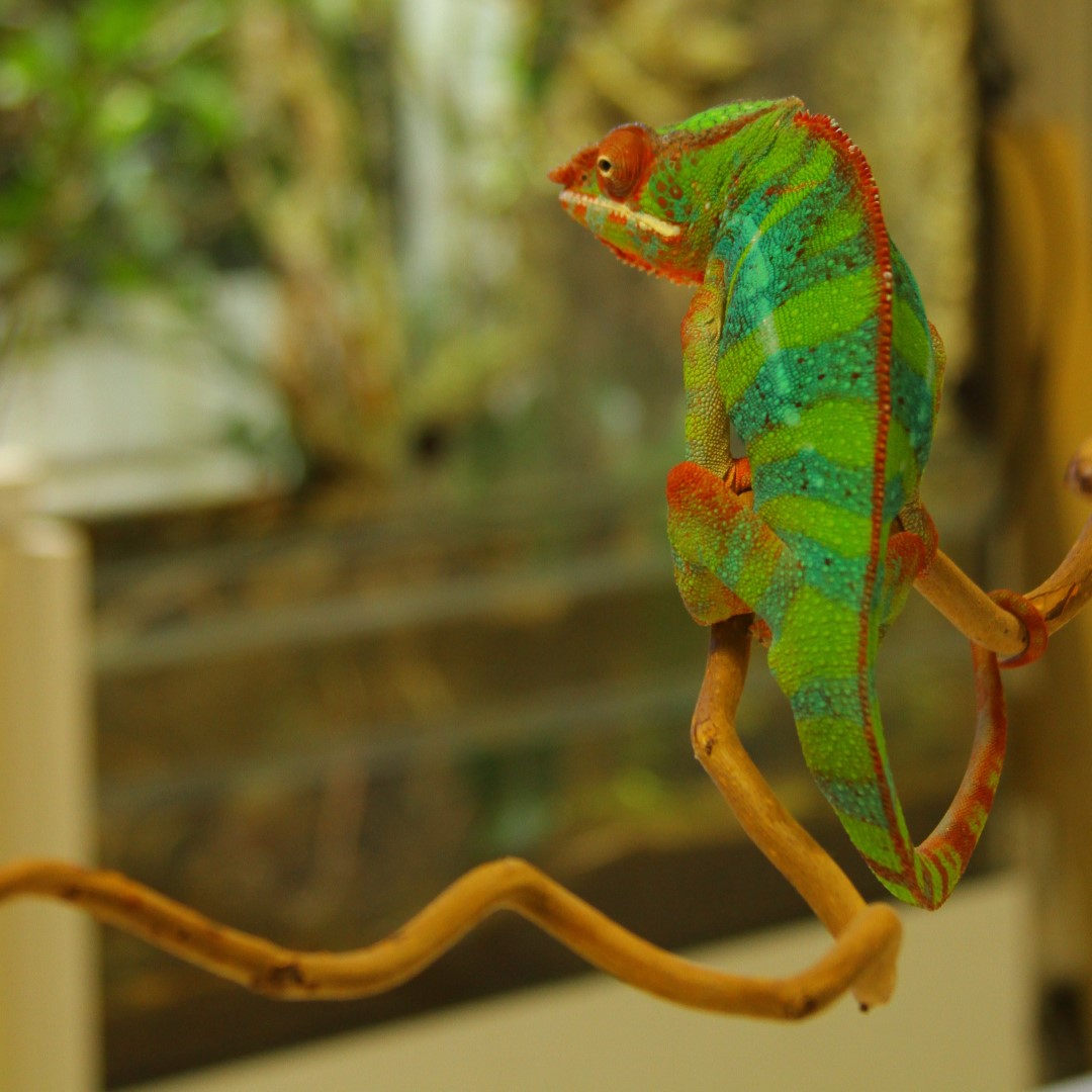 Gallery Item 1 copy copy copy