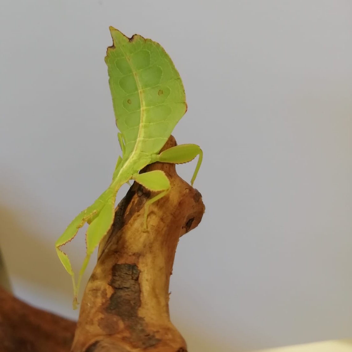 Gallery Item 1 copy copy copy copy